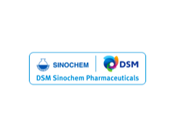 Sales Engineers clients DSM