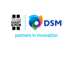 Sales Engineers clients DSM